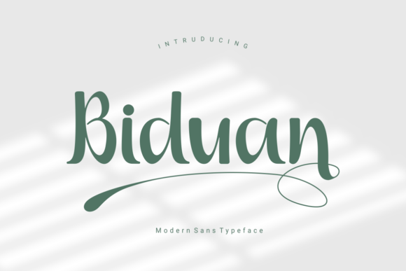 Biduan Font Review: A Modern Sans Serif with Editorial Grace