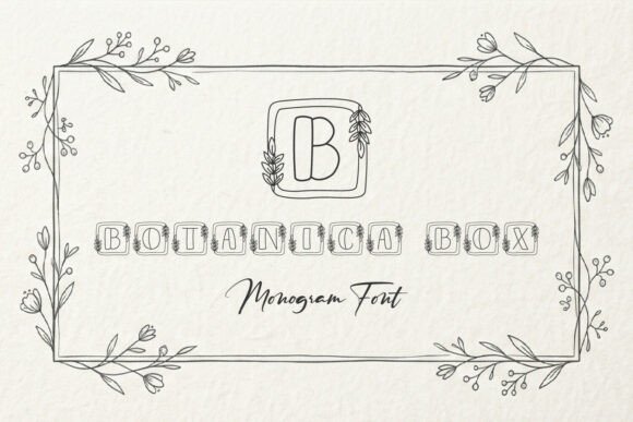 Botanica Box: A Decorative Font with Editorial Charm