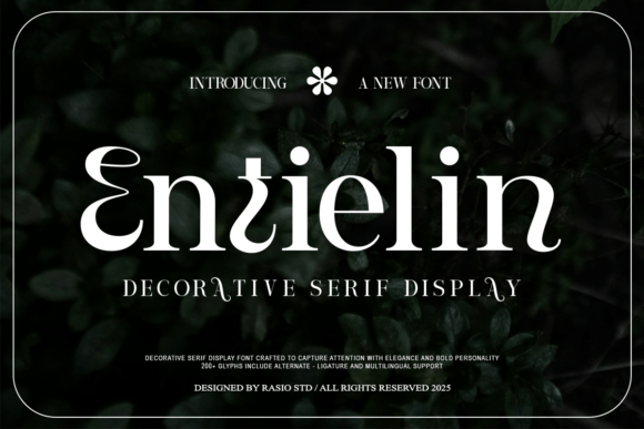 Entielin: The Serif Font That Cleared Up Our Campaign Mess