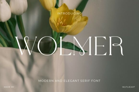 Wolmer: A Serif Font for Elegant Web Design